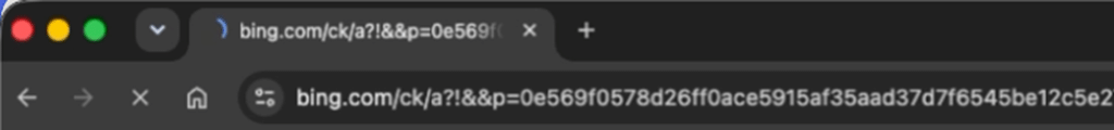 Adception usa Bing dentro Google Ads: falso Claude elude i controlli 4 image 254