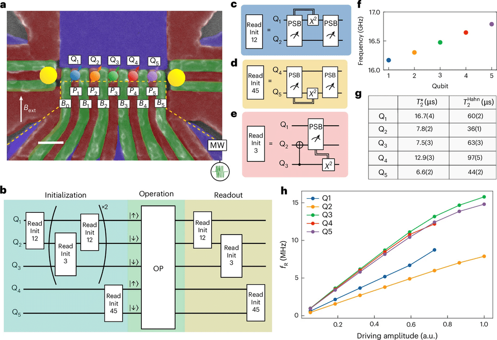 RIKEN controlla cinque qubit di silicio in parallelo con fedeltà del 99,9% 3 image 620